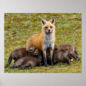 Poster Mère être comme (Devant)