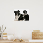 Poster Mère frontière collie et chiot (Cuisine)