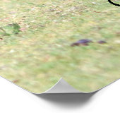 Poster Mère Kangaroo avec bébé Joey dans sa poche (Coin)