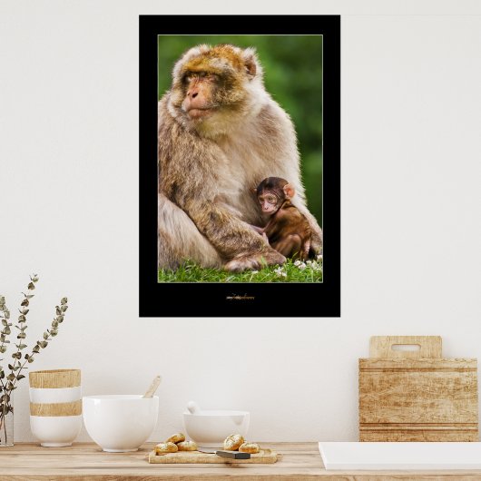 Poster Mère Macaque et bébé (Cuisine)