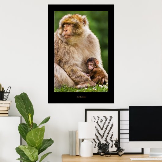 Poster Mère Macaque et bébé (Bureau à domicile)