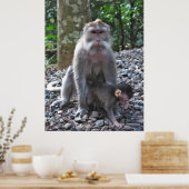 Poster Mère Macaque et bébé (Cuisine)