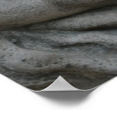 Poster Mère Nature (Coin)