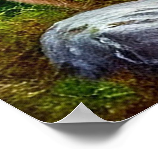 Poster Mère Ours avec des oursons dans un cadre forestier (Coin)