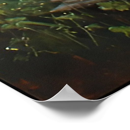 Poster Mère Ours avec des oursons dans un cadre forestier (Coin)