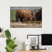 Poster Mère ours grizzly avec ourson sur une plage (Bureau à domicile)
