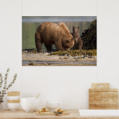 Poster Mère ours grizzly avec ourson sur une plage (Cuisine)