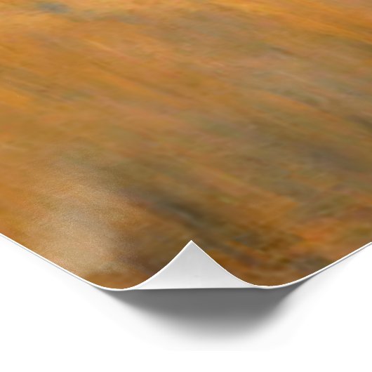 POSTER MÈRE TERRE-4 (Coin)