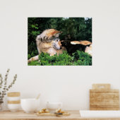 POSTER MÈRE WOLF ÉCOUTE LES PUPS (Cuisine)