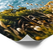 Poster Meringue Hawk Cliffs (Coin)