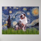 Poster Merle Aussie Shep - Nuit étoilée (Devant)