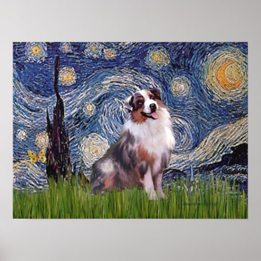 Poster Merle Aussie Shep - Nuit étoilée (Devant)