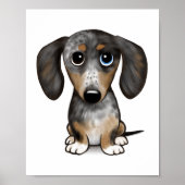 Poster Merle Dapple Dachshund mignon chien Wiener (Devant)