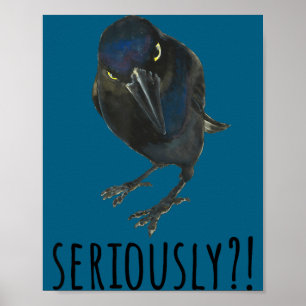 Poster Merle noir Mpy sérieusement oiseau noir