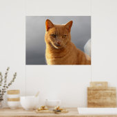 Poster Merlin et l'orbe (Cuisine)