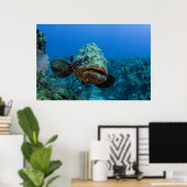Poster Mérou géant de l'Atlantique (Bureau à domicile)