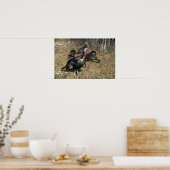 Poster Merriams dindons sauvages, gros cordonnier et trou (Cuisine)