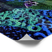 Poster Merveilles de la mer (Coin)