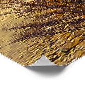 Poster Merveilles de la nature : Lago Escondido (Coin)