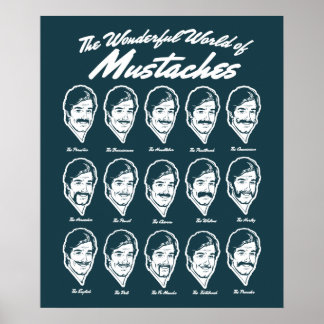 Poster Merveilleux Monde de Moustaches