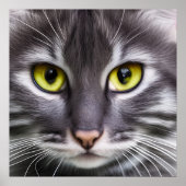 Poster Merveilleux portrait de chat (Devant)