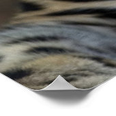 Poster Mes Derniers jours sur Terre... (Coin)