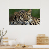 Poster Mes Derniers jours sur Terre... (Cuisine)