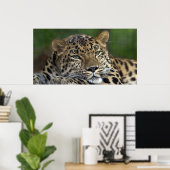 Poster Mes Derniers jours sur Terre... (Bureau à domicile)