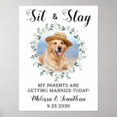 Poster Mes parents se marient Mariage animal de compagnie (Devant)