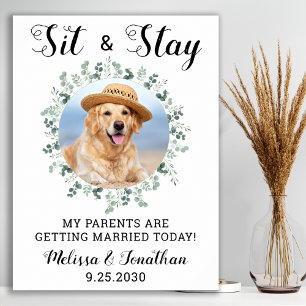 Poster Mes parents se marient Mariage animal de compagnie
