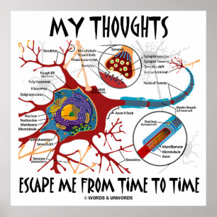 Poster Mes Pensées M'Échappent De Temps En Temps (Neuron)
