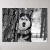 Poster Mes yeux Bleus Bébé (Devant)