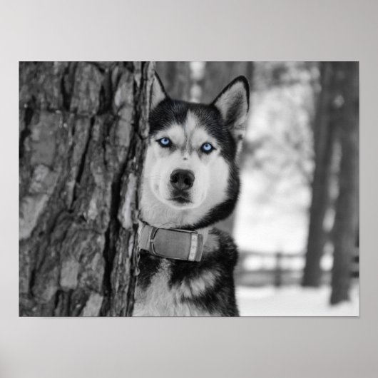 Poster Mes yeux Bleus Bébé (Devant)