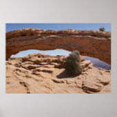 Poster Mesa Arch et Tumbleweed aux Canyonlands (Devant)