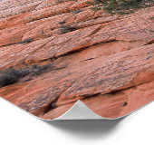 Poster Mesa Checkerboard Zion National Park (Coin)