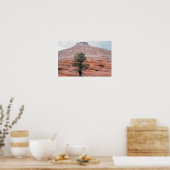 Poster Mesa Checkerboard Zion National Park (Cuisine)