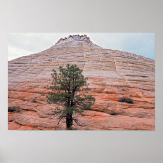 Poster Mesa Checkerboard Zion National Park