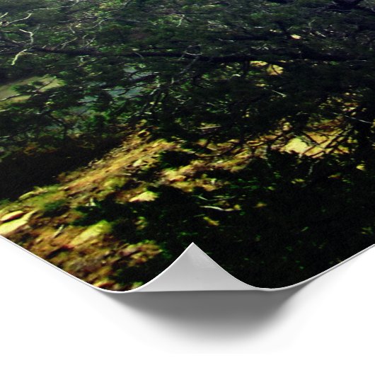 Poster Mesa Verde (Coin)