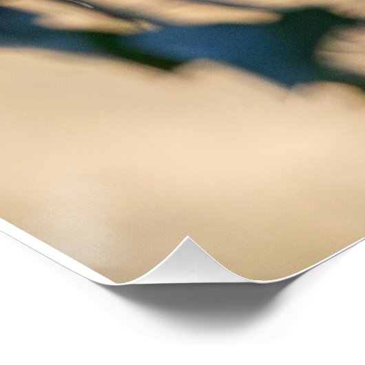 Poster Mésange à longue queue posée (Coin)