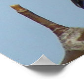 Poster Mésange à tête noire B21 (Coin)