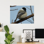 Poster Mésange à tête noire B21 (Bureau à domicile)