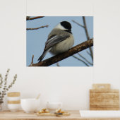 Poster Mésange à tête noire B21 (Cuisine)