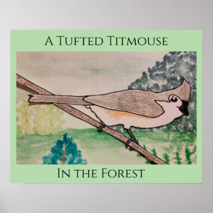 Poster Mésange à tête noire dans la forêt
