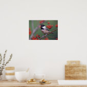 Poster Mésange de Caroline (Cuisine)
