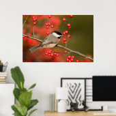 Poster Mésange de Caroline sur un buisson de Winterberry  (Bureau à domicile)