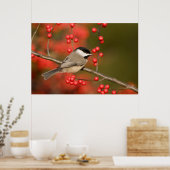 Poster Mésange de Caroline sur un buisson de Winterberry  (Cuisine)