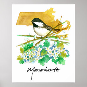 Poster Mésange de la branche de saule du Massachusetts