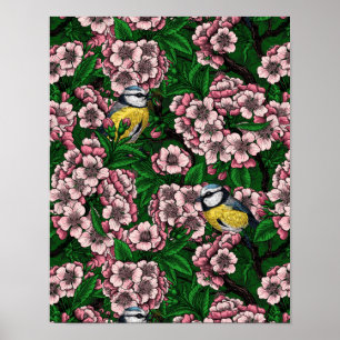 Poster Mésanges bleues dans le cerisier en fleurs sur fon