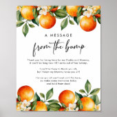 Poster Message Citrus du panneau Baby shower de vidage (Devant)