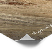 Poster Messy Mane (Coin)